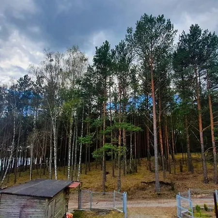 Z Widokiem Na ... Jezioro, Las, Oraz Wypoczynek W Swornychgaciach *